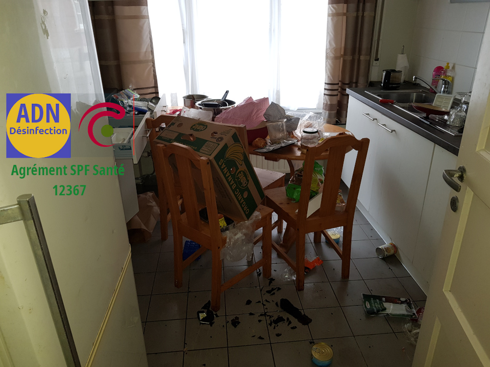 Nettoyage d'appartements et maisons en Belgique