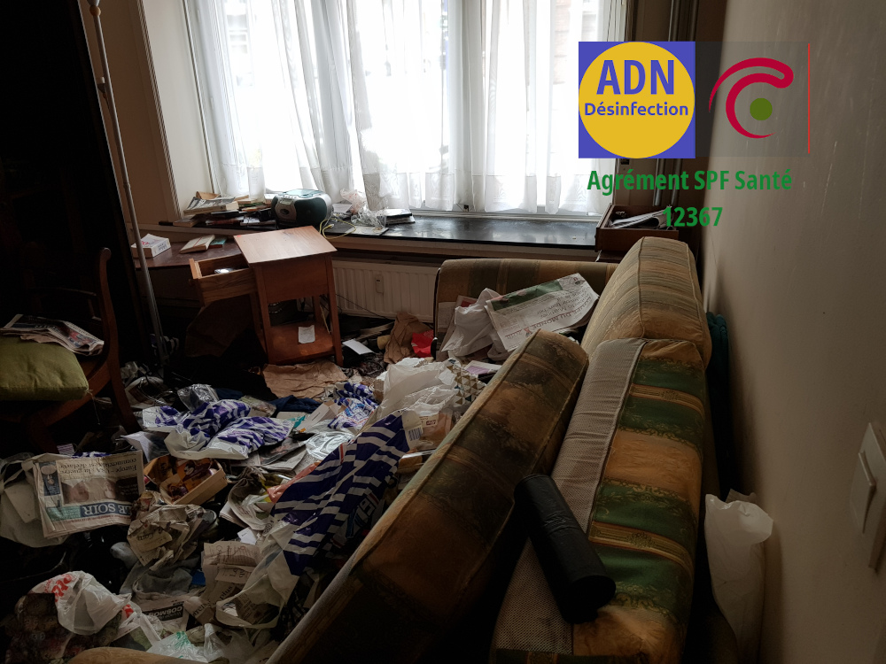 salle a manger sale allomouss bruxelles